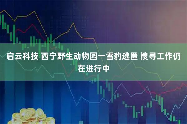 启云科技 西宁野生动物园一雪豹逃匿 搜寻工作仍在进行中