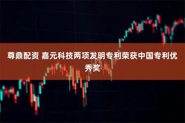 尊鼎配资 嘉元科技两项发明专利荣获中国专利优秀奖