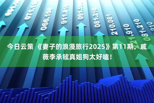 今日云策 《妻子的浪漫旅行2025》第11期，戚薇李承铉真姐狗太好嗑！
