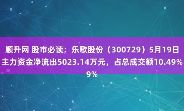 顺升网 股市必读：乐歌股份（300729）5月19日主力资金净流出5023.14万元，占总成交额10.49%