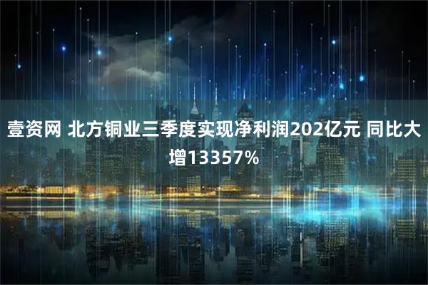 壹资网 北方铜业三季度实现净利润202亿元 同比大增13357%