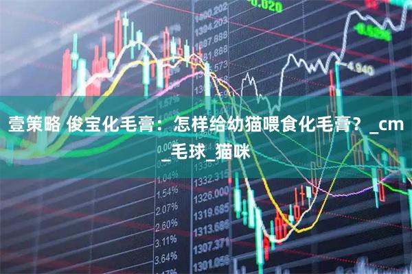 壹策略 俊宝化毛膏:怎样给幼猫喂食化毛膏?_cm_毛球_猫咪